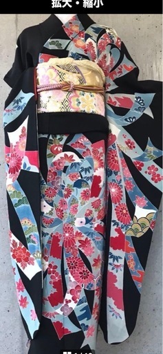 振袖、長襦袢セット