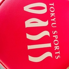 美品　東急スポーツオアシス リセットポール ストレッチポールの画像