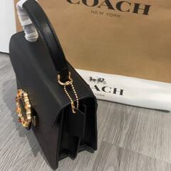 【新品】COACH バッグ ブラウン ベージュ カーキ ストーンストラップの画像