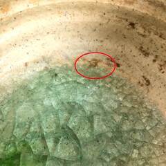 ss8102　高足花器 高さ22cm ガラス釉？ レトロ 陶器製 結晶釉？ 高台花器 足付き 脚付き 水盤 和風 織部風 フラワーベース 花瓶 生け花 浅型 鉢 盆栽 花器 中古の画像