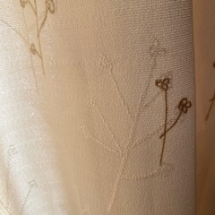 カーテンの画像