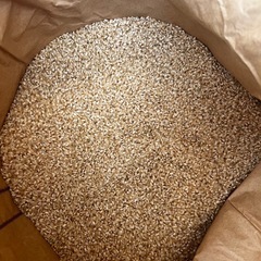 彩のきずな　新米30キロ　お米玄米　⑦の画像