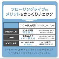 ホットカーペット 防水の画像
