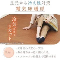 ホットカーペット 防水の画像