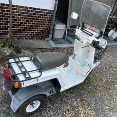 希少で綺麗なエックス2スト　
の画像