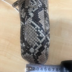 ショルダーバックの画像