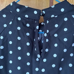 薄手のワンピース
の画像