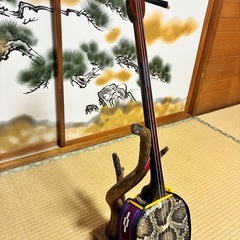 沖縄三線！新品！！黒木！上質黒檀！真壁型 ！本蛇皮　本張り【一枚張り】④の画像