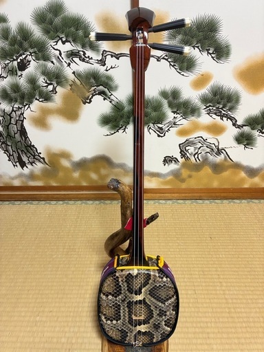 沖縄三線！新品！！黒木！上質黒檀！真壁型 ！本蛇皮本張り【一枚張り