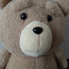 ted ぬいぐるみ　45cmほどの画像