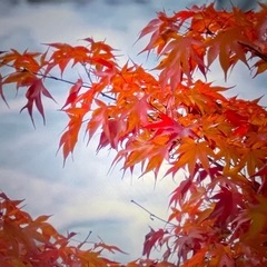 27インチ 映像が綺麗な4Kモニター IPS 非光沢 ディスプレイ (3840×2160/HDR10/DCI-P3 90%/VESA対応) 傾き調整 モニター HDMIとDP接続　オーディオジャック3.5mmの画像