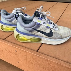 Nike Air Max 2021 'Ghost Ashen Slate 27cm
の画像