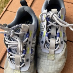 Nike Air Max 2021 'Ghost Ashen Slate 27cm
の画像