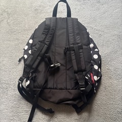 Colemanリュックの画像