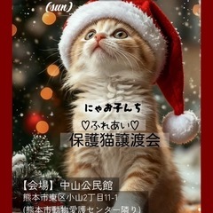 🧡ふれあい💛🐱保護猫譲渡会🩷🐱🐈🌟🏡中山公民館