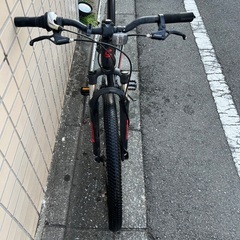 キャノンデールキャノン　KIDSTRAIL24の画像