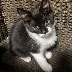 おっとり性格なウー君