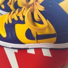 ダンクハイレイカーズ25.5cmの画像