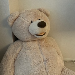 コストコのくまの画像