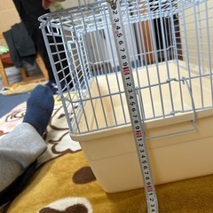 小動物ゲージの画像