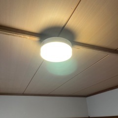 シーリングライトの画像