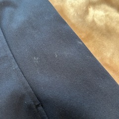 クロコダイルレディーススプリングコートの画像