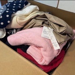 レディース夏冬ダンボール3箱の画像