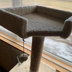 キャットタワーの画像