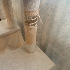 キャットタワーの画像