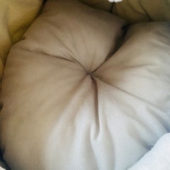 (1週間限定出品)未使用 美品 猫用ふわふわベッドの画像