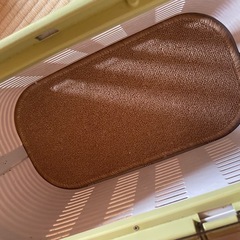 ペットキャリー　猫ちゃん2回ほど使用　の画像