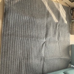 ニトリ　ホットカーペットの画像