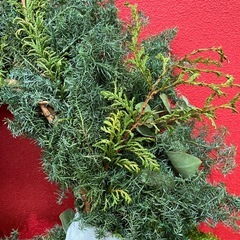 クリスマスリース　ハンドメイド　一点物の画像