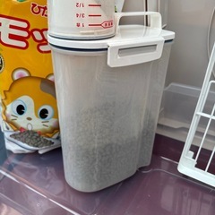 モルモットの餌の画像