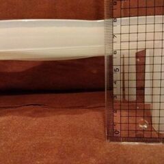 ディッシュラックの画像