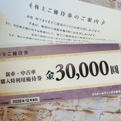 【新品・未使用】VTホールディングス 株主優待券の画像