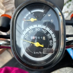 ホンダ トゥデイの画像