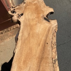 天然耳付き板 DIY素材 飾り台 レジン用にの画像