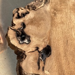 天然耳付き板 DIY素材 飾り台 レジン用にの画像