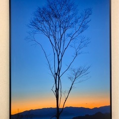 ⭐︎無料⭐︎特殊プリント写真絵画４枚セットの画像