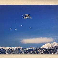 ⭐︎無料⭐︎特殊プリント写真絵画４枚セットの画像