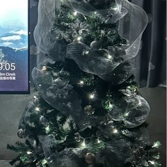 クリスマスツリーの画像