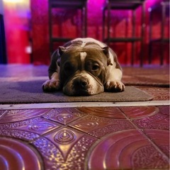 スタッフ募集👩の画像