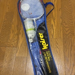 バドミントンセットの画像