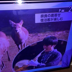 GY1202 東芝 TOSHIBA レグザ 55インチ 液晶テレビ 55Z7 2012年製の画像