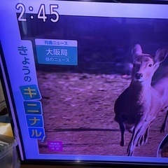 GY1202 東芝 TOSHIBA レグザ 55インチ 液晶テレビ 55Z7 2012年製の画像