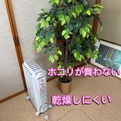 〈美品〉デロンギ・オイルヒーター ドラゴン3  
の画像
