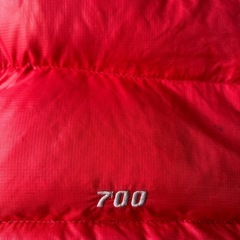 ノースフェイス　汚れありの画像