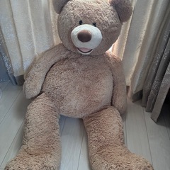 コストコ　テディベア　の画像