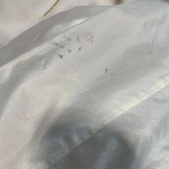 Champion 上下セット　秋冬用の画像